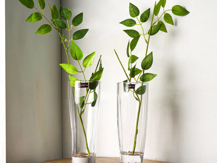 Minimal See-Through Flower Vase