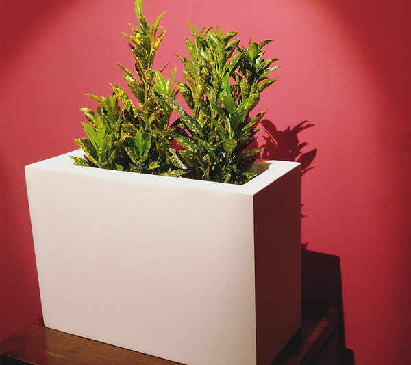 Auriga White FRP Planter