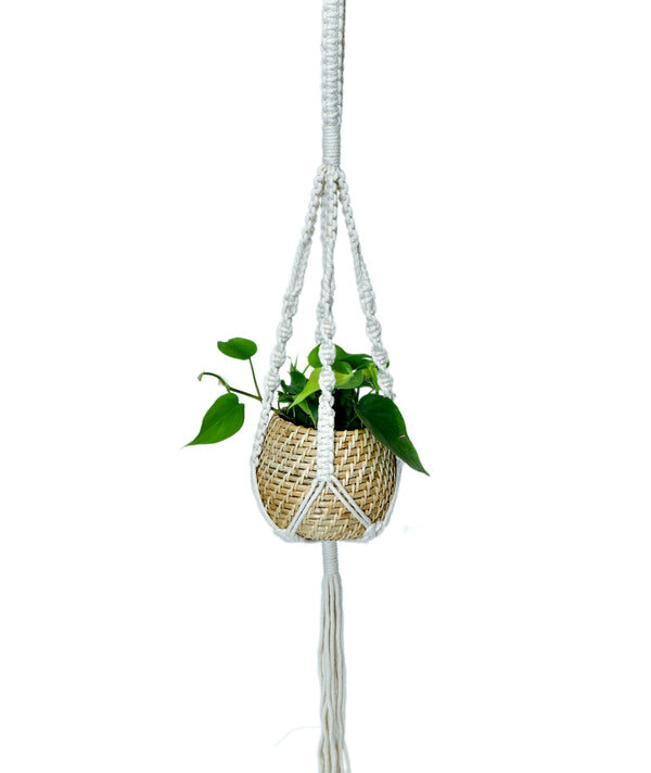 Natural Cane Handmade Planter with Macramé for Hanging