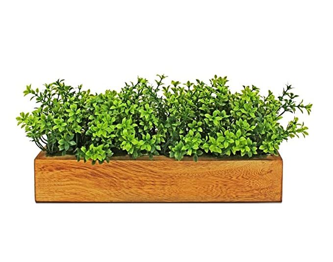 fancymart Artificial Gardenia Plant Bunch in Wood Planter, Home and Office Decor Plants for Decoration, Realistic Green Decorative for Interior, Living Room, Office Desk
