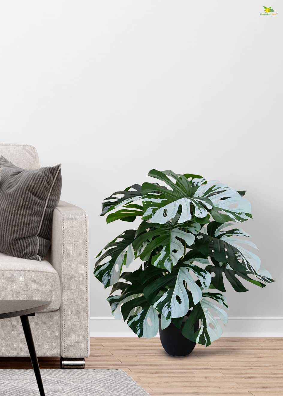 Blooming Floret Artificial Monstera Plant | with Basic Black Pot | Contrasting Leaves in Green & White | Ornamental Plant for Interior Decor/Home Decor/Office Decor | 18 Leaves | Durable - Image 2
