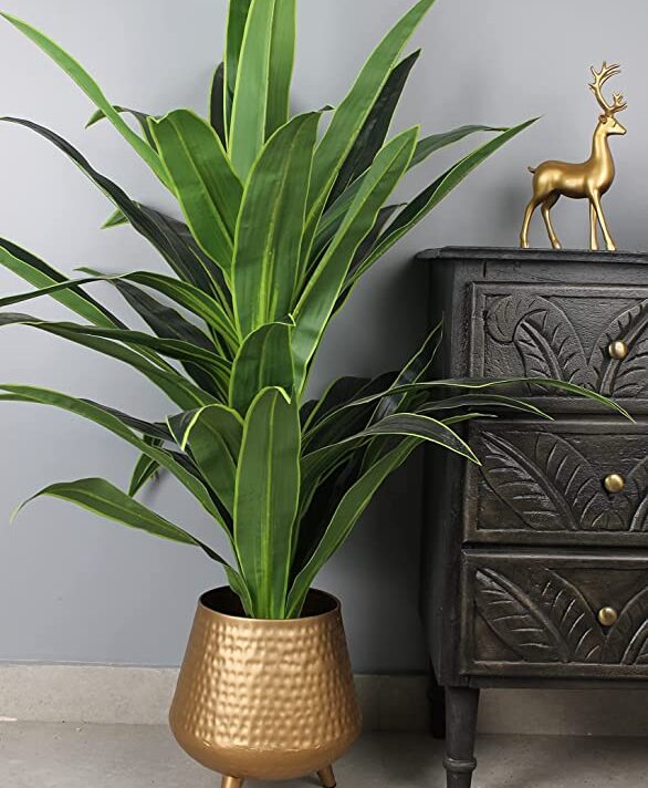 Elemntl Artificial Large Floor Plant with Plastic Pot for Home Decor (Height: 4 feet) | Decoration Items for Living Room | Decorative Table Top Indoor Plants Bonsai for Office (Dragon Plant 4 feet)