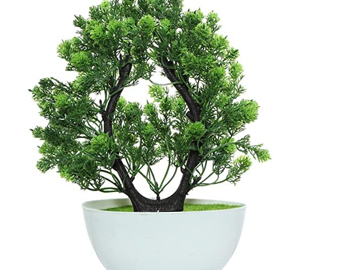 Anaaya Creations Artificial Bonsai Plants with White Pot Round Shape Artificial Plants for Home & Office Table Decoration (Size - 29 x 6 Cm, Color - Green)