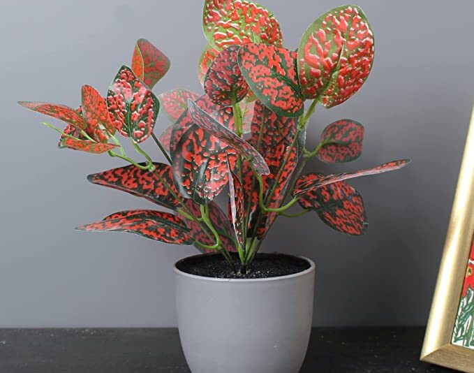 Elemntl Artificial Plant in Grey Pot for Home Decor | Decoration Items for Living Room | Decorative Table Top Indoor Plants Bonsai for Office Desks & Counters (Red Polka Dotted Plant in Grey Pot)